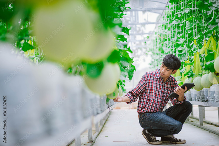 スライダー画像6