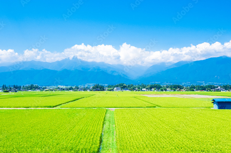 スライダー画像7